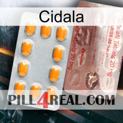 Cidala new13